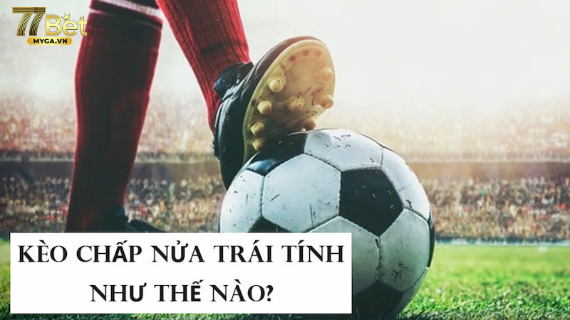 Kèo chấp 1/2 ví dụ